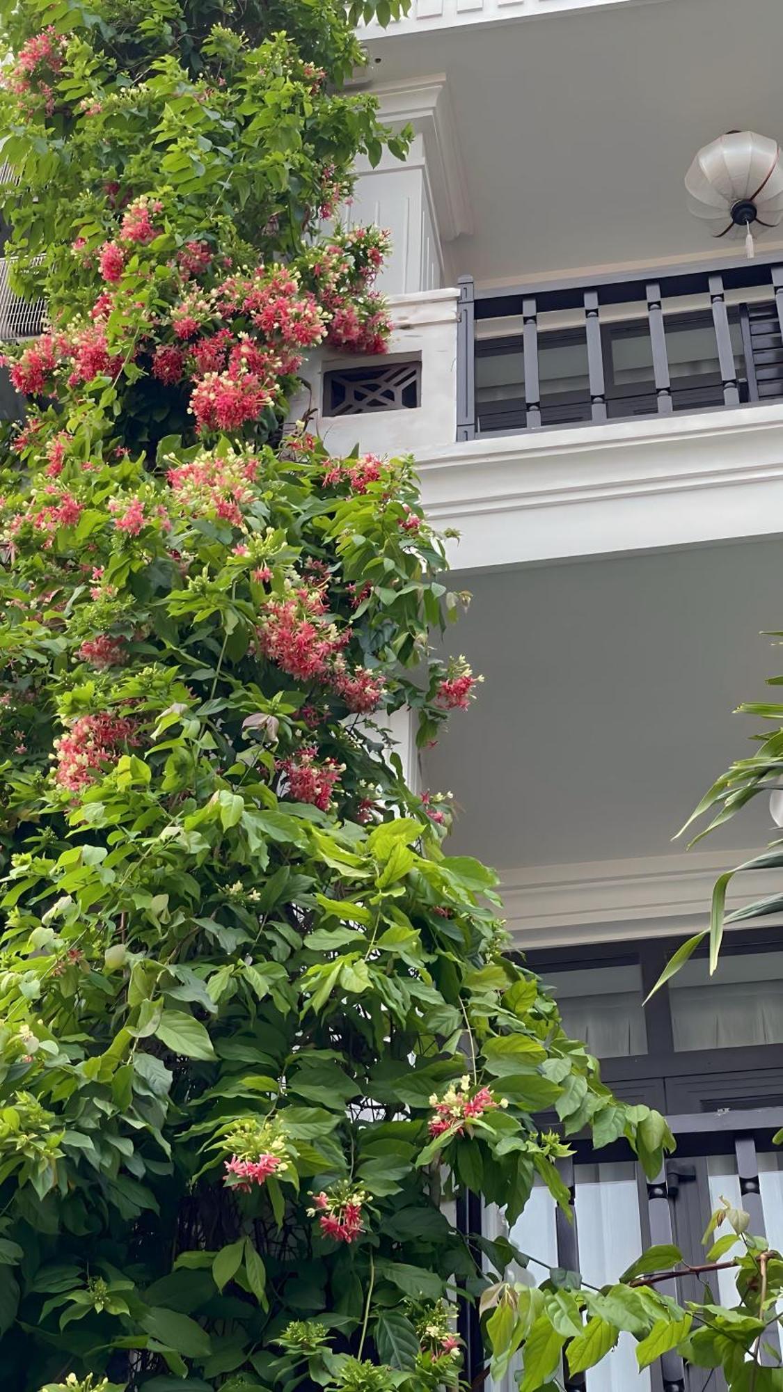 Hoi An Discovery Villa Екстериор снимка